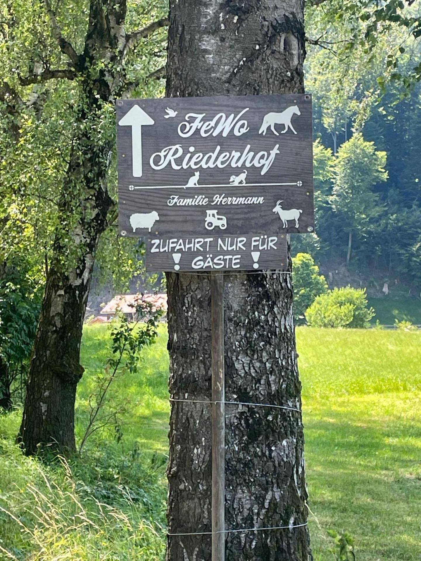 Riederhof Apartman Flintsbach Kültér fotó